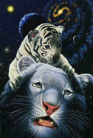 .Trop mimi, tigres